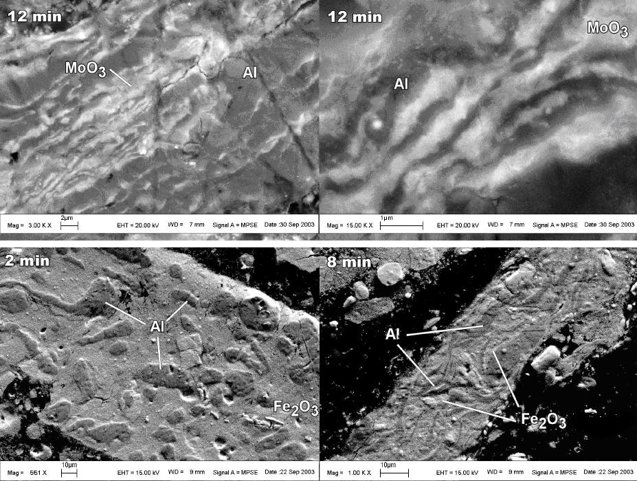 04 S. CUDZI O, W. KICIÑSKI niacza o mikronowych œrednicach ziaren ( 00 µm), z których ka de ma nanowymiarow¹ strukturê (Rys. ) [5]. Rysunek.