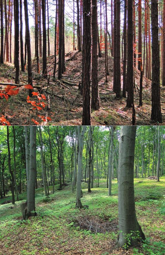 and drainage channels which contribute to drainage of the surrounding area (Skawina 1963; Raczyński 1992). In the Olkusz region the Pole Bukowno and Dąbrówka sand pits (total area 45.