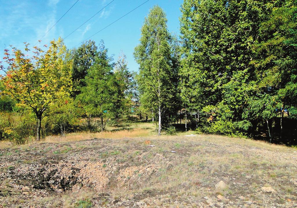 Fig. 5. Post-mining relics left from the Aleksander mine in Bolesław, covered with xerothermic grassland (photo A.M. Stefanowicz and M.W. Woch) Ryc. 5. Obiekty pogórnicze pozostałe po kopalni Aleksander w Bolesławiu porośnięte murawą kserotermiczną (fot.