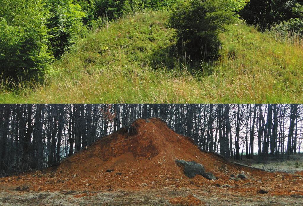 Fig. 6. Heap of material from the Józef mine in Czerna-Zakopane covered with a valuable xerothemic grassland (top) and during removal (bottom) (photo A.M. Stefanowicz and M.W. Woch) Ryc. 6. Usypisko materiału z kopalni Józef w Czernej-Zakopane porośnięte wartościową murawą kserotermiczną (góra) i w trakcie rozbiórki (dół) (fot.