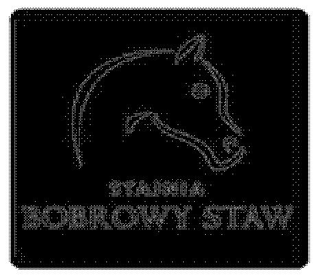 -3 MROCZEK JULIA BRAVADO QUEEN 0 0-3 POZNAŃSKA ALEKSANDRA JKS Karolina PERFECTO 0 0-3 WAKULIŃSKA DOROTA MONTE CHRISTO AB 0 0 KOZIŃSKA BARBARA BEZA 5 5 Strzała LAPIS G -T 5 5 Runda Srebrna ZWIERZYŃSKA