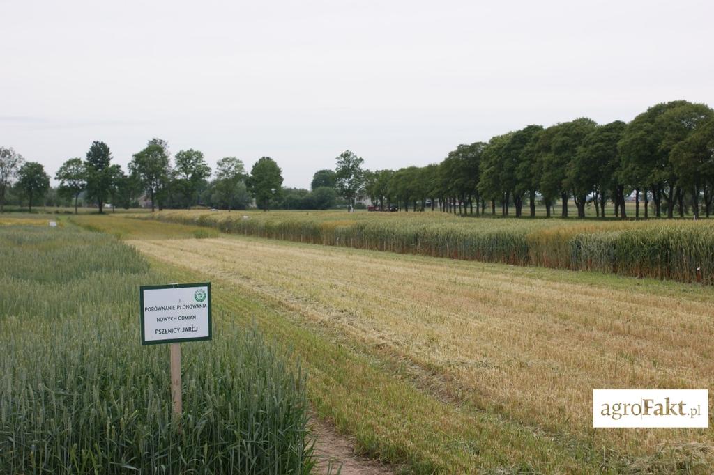 .pl https://www..pl Jak się wydaje, o to właśnie chodzi w tej trudnej przecież działalności. Znaczenie doradztwa w swojej codziennej pracy docenia Marek Szepietowski, rolnik z gm.