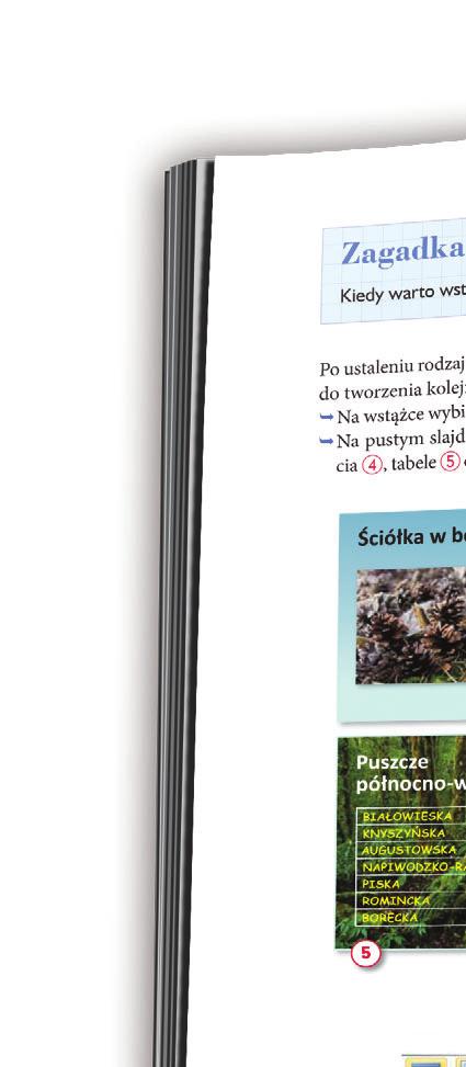 i angażują do