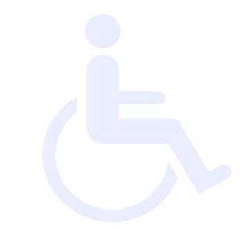 DDM 2010/02/00001 Kodeks dobrego postępowania przy obsłudze naziemnej osób niepełnosprawnych oraz osób z