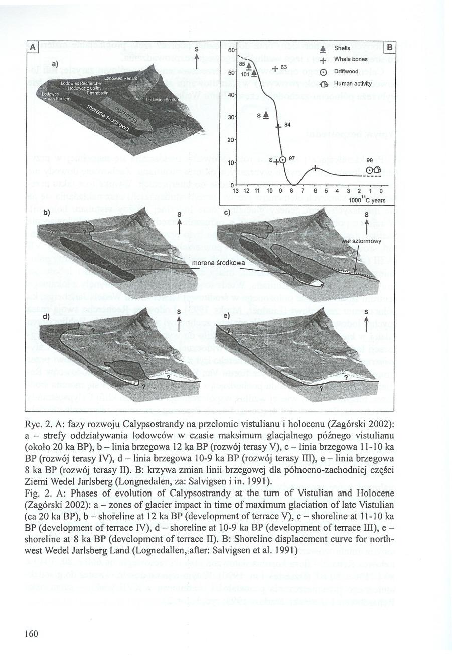 A al s t I 60 50 101l! 40 ;;\ + s l ShelIs + Whale bones 0 Driftwood G Human activity B 30 20