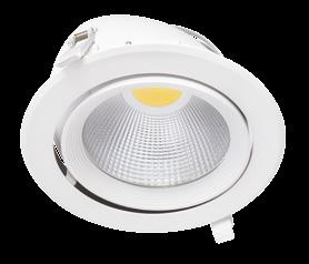 OPRAWA TYPU DOWNLIGHT LED HIMA MCOB 30W-NW-W źródło światła: LED MCOB Tc: 4000 K