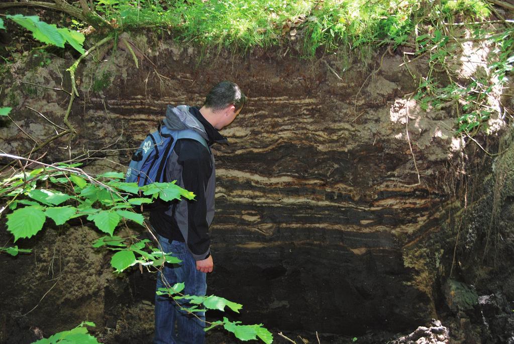 km 0,7 (w obrębie dawnego stawu młyńskiego) Fig. 13.