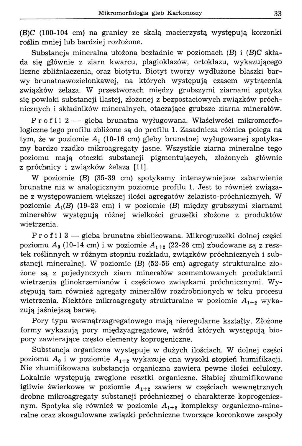 M ikrom orfologia gleb Karkonoszy 33 (B)C (100-104 cm) na granicy ze skałą m acierzystą w ystępują korzonki roślin m niej lub bardziej rozłożone.