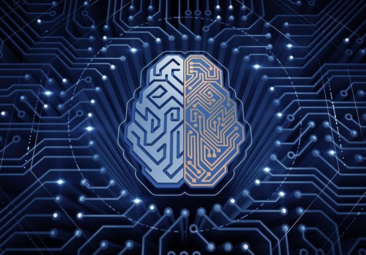 ewolucyjne, sieci neuronowe, sztuczne życie i robotykę.