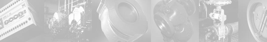 GESTRA Steam Systems TRV