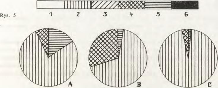 5 dieta: 1 element roztoczożerny; 2 mszycożerny; 3 czerwcożerny; 4 mszyco- i czerwcożerny; 5 roślinożerny; 6 roślino- i mszycożerny. Rys.