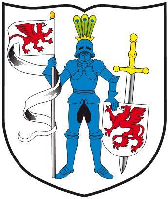 CEL: upamiętnienie Konstytucji 3 Maja, promocja biegania jako najprostszej formy aktywności sportowej, promocja gminy Gryfino, powiatu gryfińskiego oraz województwa zachodniopomorskiego, integracja