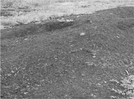 Therefore one should find a source of organic matter to soil application. In order to manage animal production and industrial production s wastes. Examples: brown coal, sewage sludge [19, 20, 23].