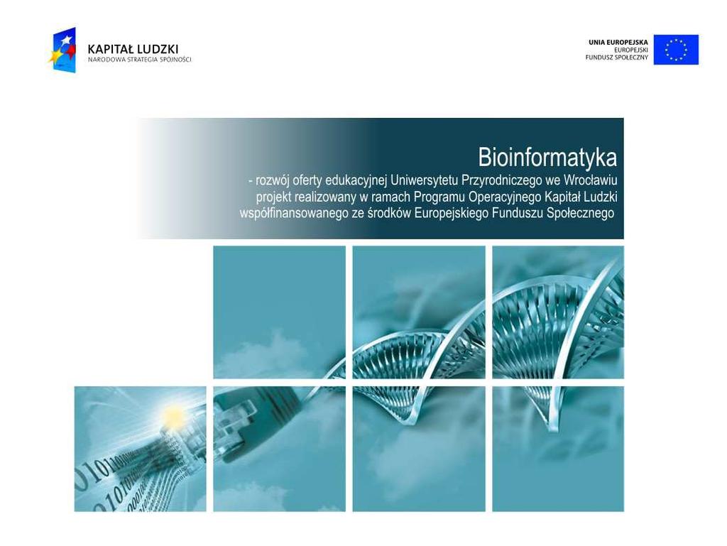 Bioiformatyka - rozwój oferty edukacyjej Uiwersytetu Przyrodiczego we Wrocławiu projekt realizoway w ramach Programu Operacyjego Kapitał Ludzki współfiasowaego ze środków Europejskiego Fuduszu