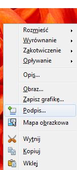 Spisy rysunków, tabel i wzorów