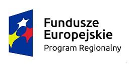 BIZNESPLAN w ramach Regionalnego Programu Operacyjnego Województwa Lubelskiego na lata 2014 2020 Oś priorytetowa 9 Rynek pracy Działanie 9.3 Rozwój przedsiębiorczości Projekt Nowe perspektywy RPLU.09.