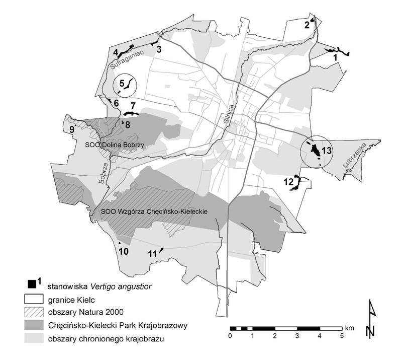 NATURALIA 4-2015: 108-117 111 Ryc. Rozmieszczenie stanowisk poczwarówki zwężonej Vertigo angustior w Kielcach Fig.