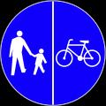 Ten znak oznacza, że droga przeznaczona jest dla pieszych i kierujących rowerami. Piesi i rowerzyści poruszają się po stronie drogi wskazanej na znaku.