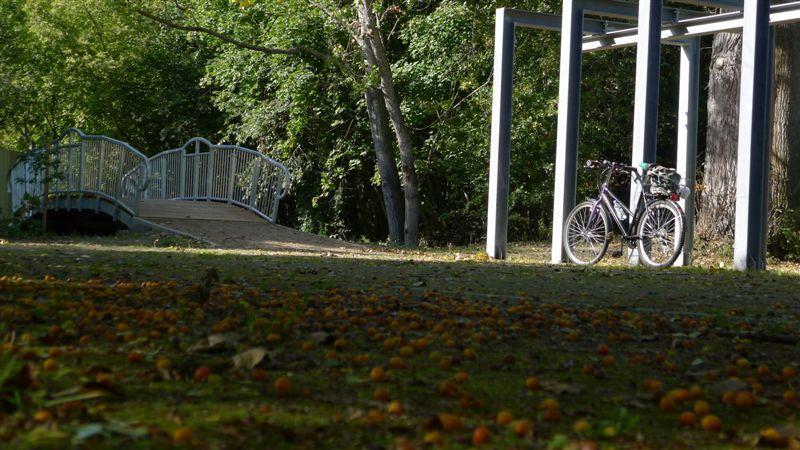 Szczecin 2020 / OTOCZENIE Poprawa jakości przestrzeni publicznej