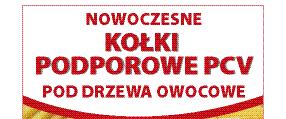 Nawadnianie kroplowe zapewni odpowiednią ilość wody korzeniom pod warunkiem, że zbudowane będzie z dwóch linii rozmieszczonych po obu stronach rzędów drzew (fot. 5).