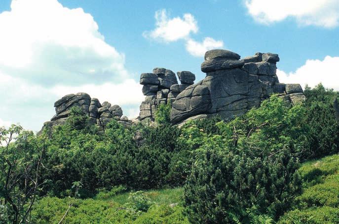 PRZySTaneK 15 Trzy Świnki Trzy Świnki to grupa trzech skałek znajdujących się na południowych zboczach Szrenicy na wysokości ok.1315 m n.p.m. Rozciągają się one na przestrzeni ok.