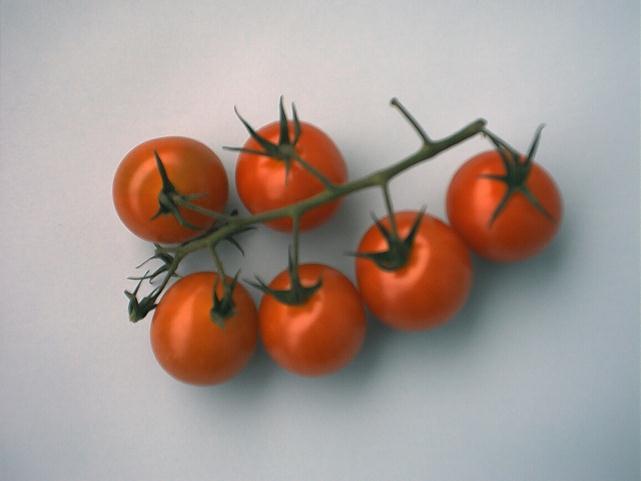 pomidory cherry przynajmniej sześć pomidorów na