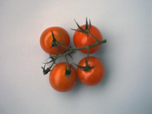 przynajmniej cztery pomidory na gałązce