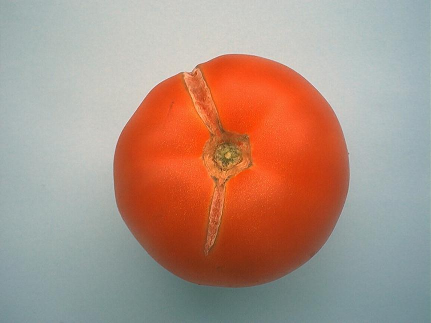 Zdjęcie nr 10 pomidor pęknięty niedopuszczalny nie spełnia wymagań minimalnych Zdjęcie nr 11 - pomidor