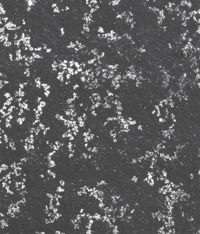 g/dcm3, c) 10 g/dcm3 Fig. 5.
