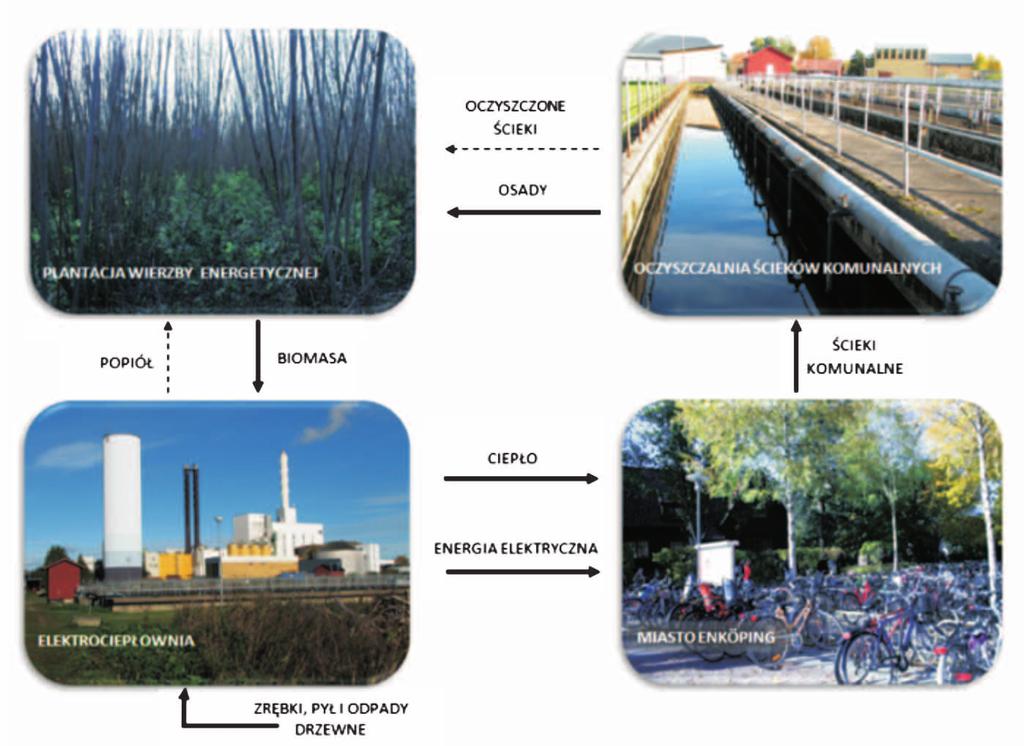 władz samorządowych, kierownictwa i pracowników wszystkich firm działających na rynku usług komunalnych (oczyszczalnia ścieków, zakład energetyczny, zakład dystrybuujący ciepło, elektrociepłownia) i