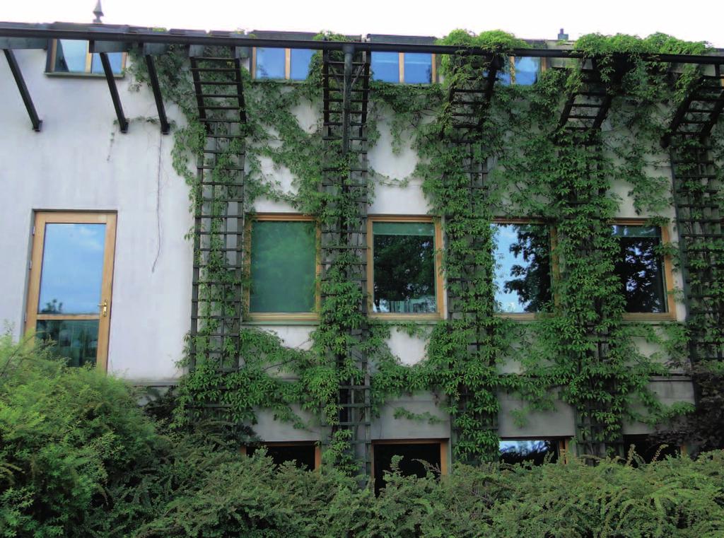 Dach łukowy miedziany, który służy optycznemu zmniejszeniu wielkości gmachu, a patynowana na zielono miedź, z której jest wykonany, ma optycznie łączyć się z roślinnością dachu płaskiego i zielenią