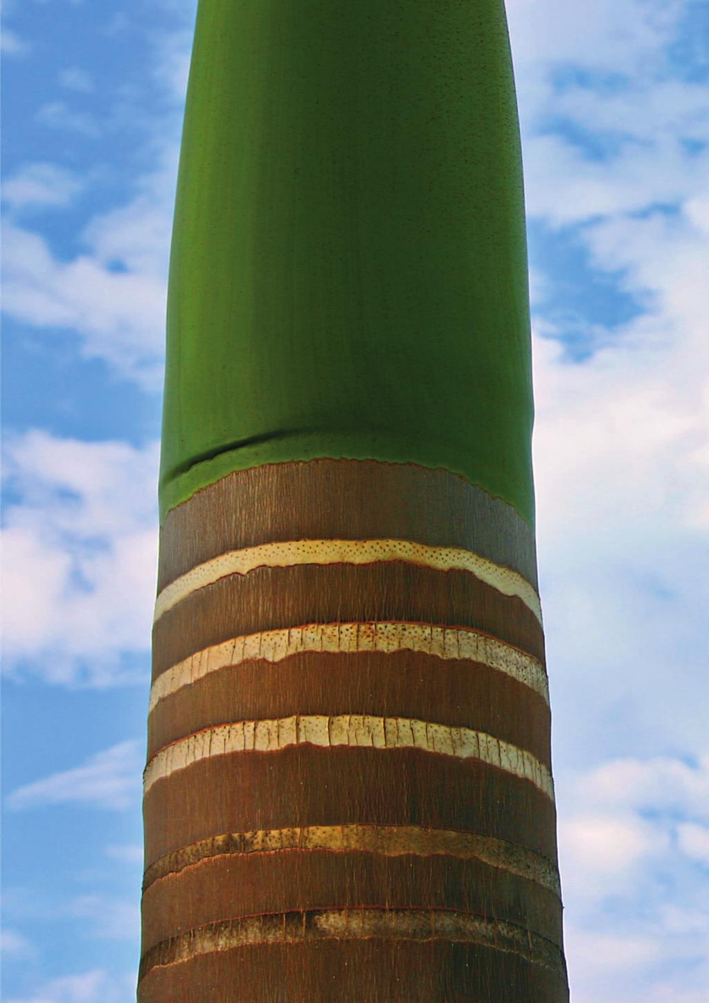 Ecology, 7(1), 93 126. część III.