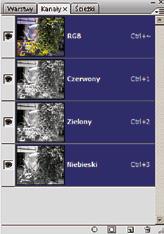 4. Kliknij ikonę oko przy jednym z kanałów, aby go wyłączyć i sprawdź, jak zmienia się wygląd obrazu. Dzięki temu możesz zaobserwować, jaki jest udział wybranego koloru w kolorystyce zdjęcia.