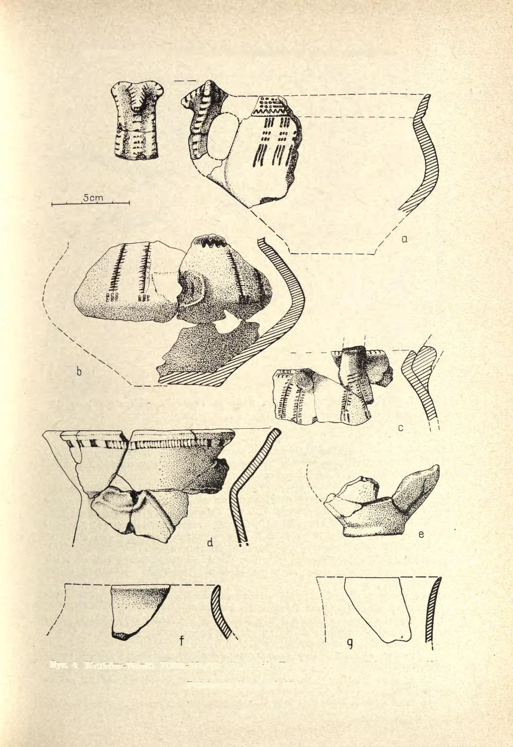 POZYCJA STRATYGRAFICZNA MATERIAŁÓW NA STAN. MOGIŁA 62 93 Ryc. 4.