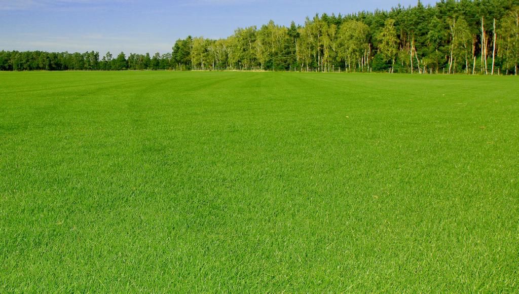 Dziś już prawie każdy zna wyrób pod nazwą trawnika rolowanego i nie budzi żadnego zdziwienia fakt, że piękny trawnik można mieć w jeden dzień.