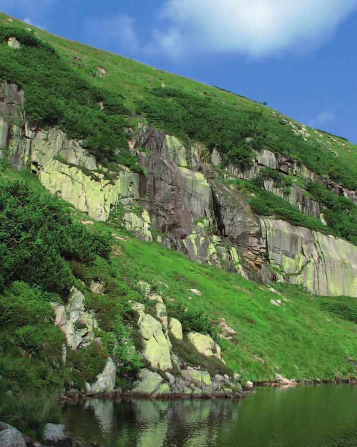 Przegląd zbiorowisk roślinnych ekosystemów nieleśnych Karkonoskiego Parku Narodowego Ściekająca woda ze ścian skalnych stwarza dogodne warunki dla rozwoju zbiorowisk źródliskowych (LP) Fundamentalny