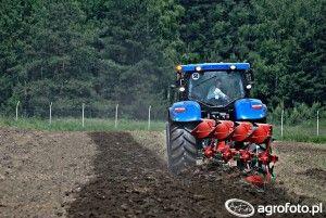 .pl https://www..pl Foto: AgroFoto.pl, Dziara Ciekawe jest również zestawienie dotyczące danych, związanych ze sprzedażą nowych ciągników z podziałem na poszczególne województwa.