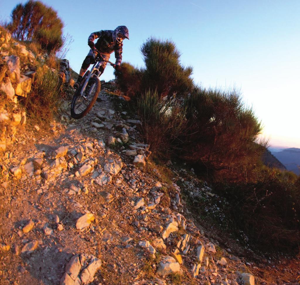 downside / GRAVITY / HARDTAIL Masz niewiele pieniędzy w portfelu? Fajnie. Jesteś zbyt zajęty życiem, aby iść do pracy? Jasne! Ale to wciąż nie oznacza, że nie powinieneś jeździć na dobrym rowerze.