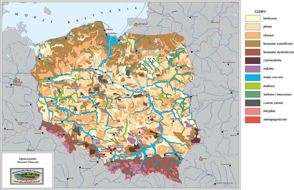 Gleby występujące w naszym kraju wykazują w pewnym stopniu strefowość występowania (przeważają gleby bielicowe, płowe i brunatne).