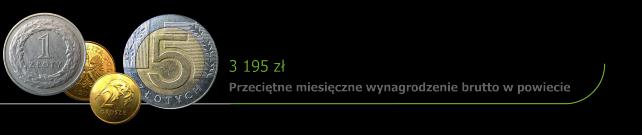 2010 roku wyniosło 3195