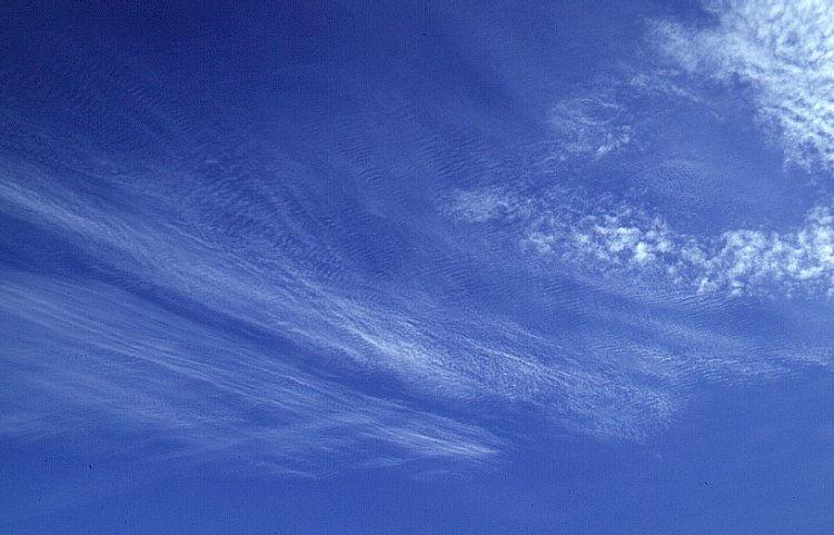 Cirrocumulus