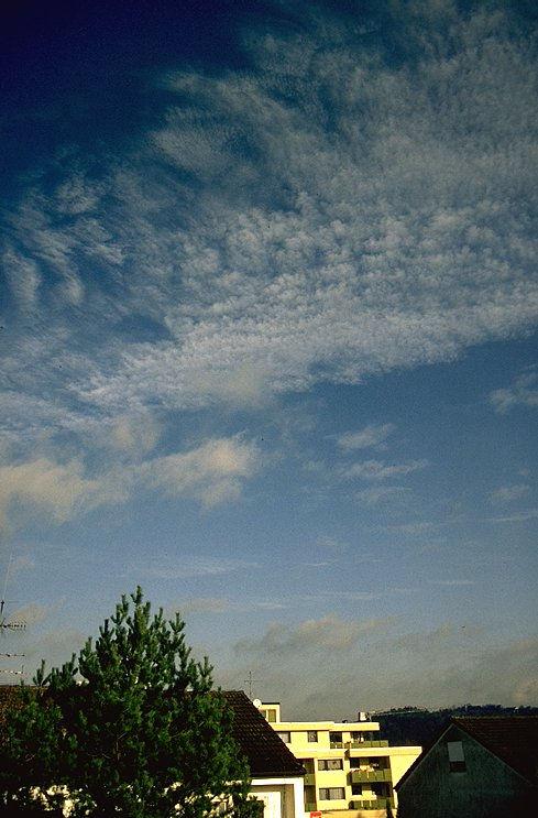 Cirrocumulus