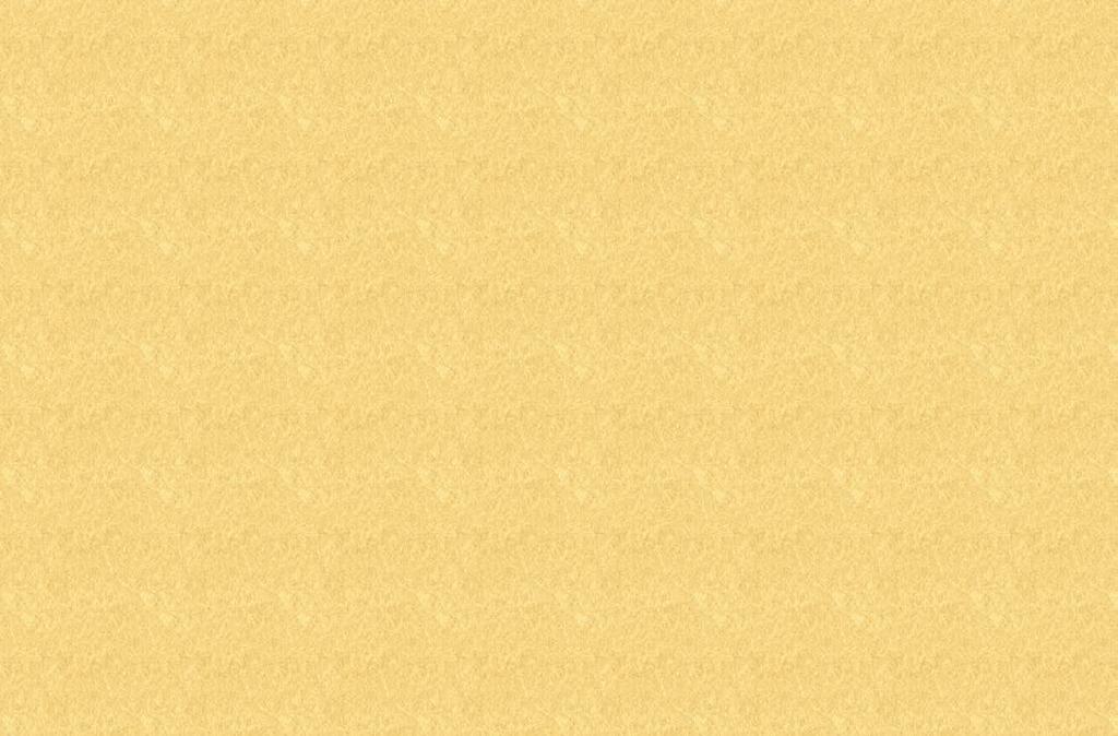 P r o d u k t y P R E M I U M d l a p s ó w i k o t ó w w e k o l o g i c z n y c h k a r t o n i k a c h jama