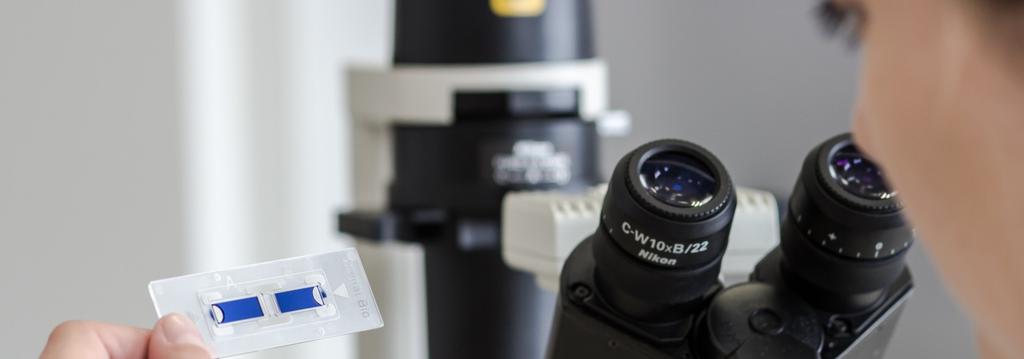 STEM CELLS SPIN Spółka Akcyjna z siedzibą we Wrocławiu Raport kwartalny Za okres