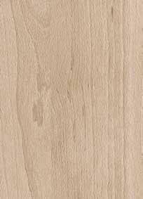 SU Beige