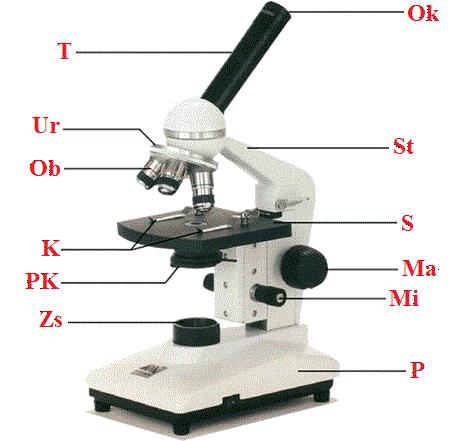 Bardzo ważne w mikroskopie jest odpowiednie oświetlenie preparatu, dlatego też stoliki mikroskopów wyposażone są w soczewki