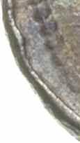 000,- Władcą, który wznowił emisję monety książęcej, był Bolesław II Szczodry (zwany też Śmiałym, 1056-1079/80).