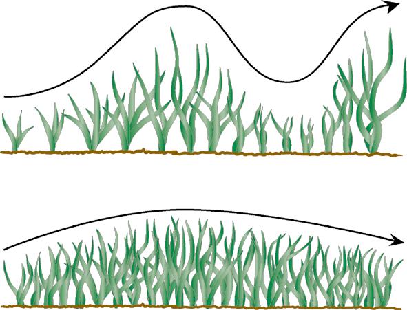 Rodzaj nawozów Zalety Wady Szybko działające (saletra amonowa, siarczan amonu, siarczan potasu Characteristics of Nitrogen Fertilizers for Home Lawns mocznik) Wolno działające niepowlekane (ureaform