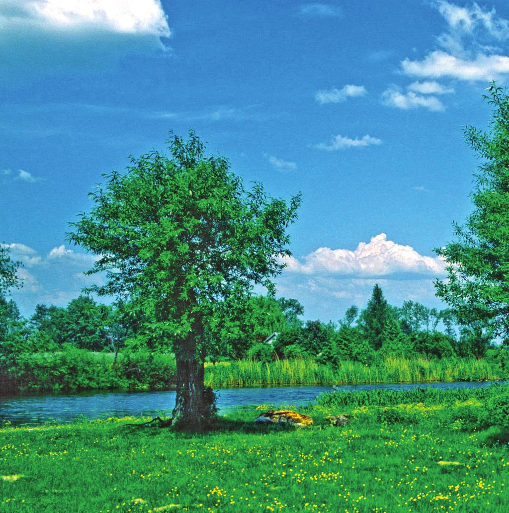 Mazowsze