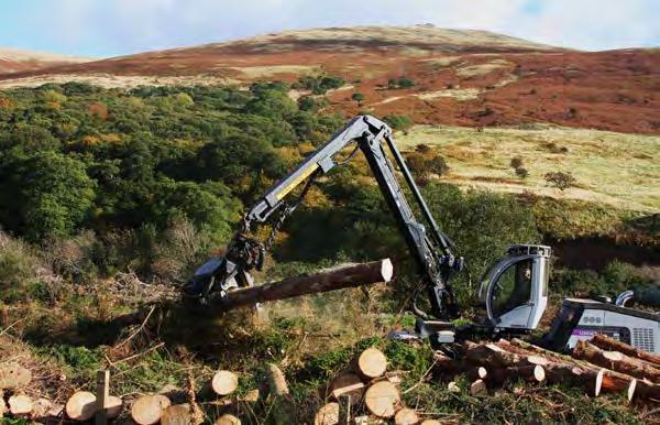 Deforestacja Konsekwencją wzrastającego zapotrzebowania na drewno oraz tereny przeznaczane pod uprawy lub budowę nowych osiedli i dróg
